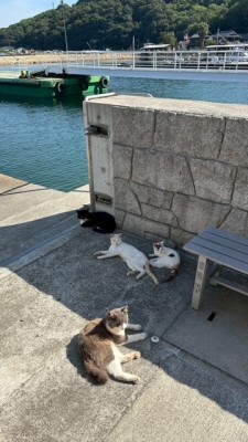 image0