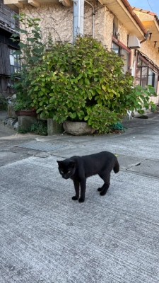 image0